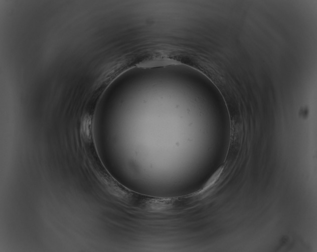 X0000091660094200708301447