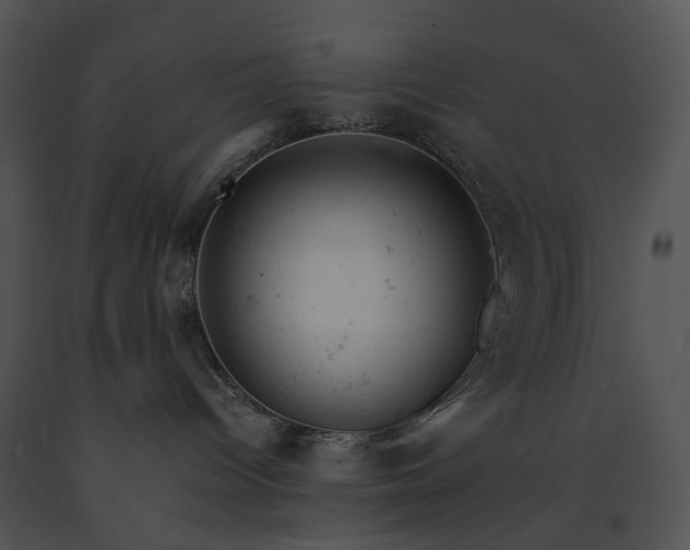 X0000091660096200708301447