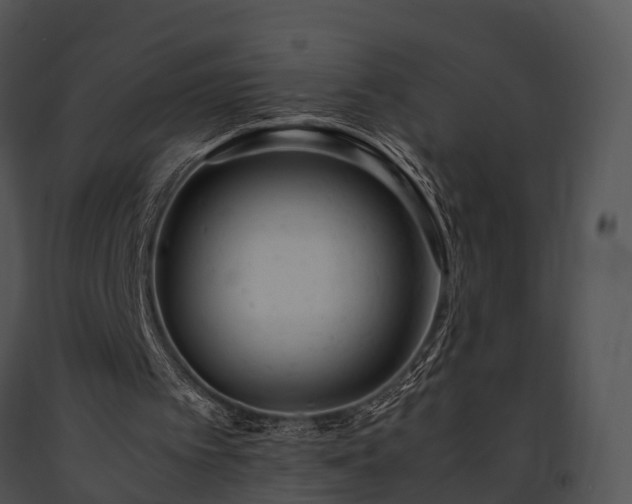 X0000091660097200708301447