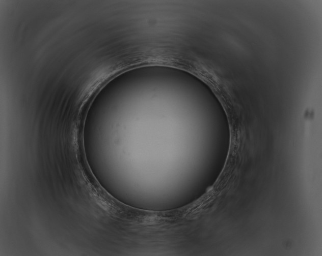 X0000091660098200708301447