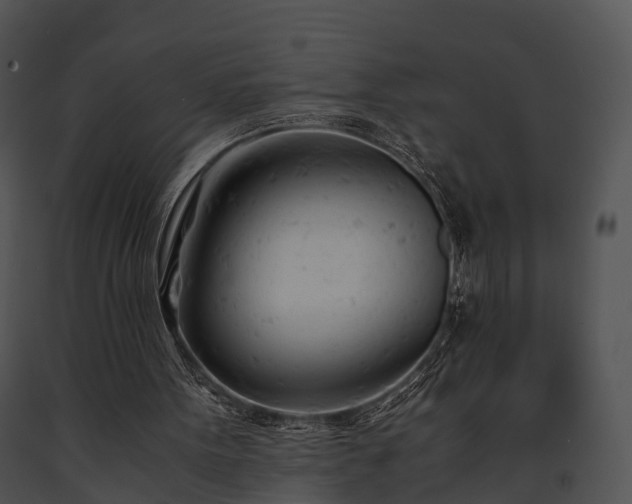 X0000091660099200708301447