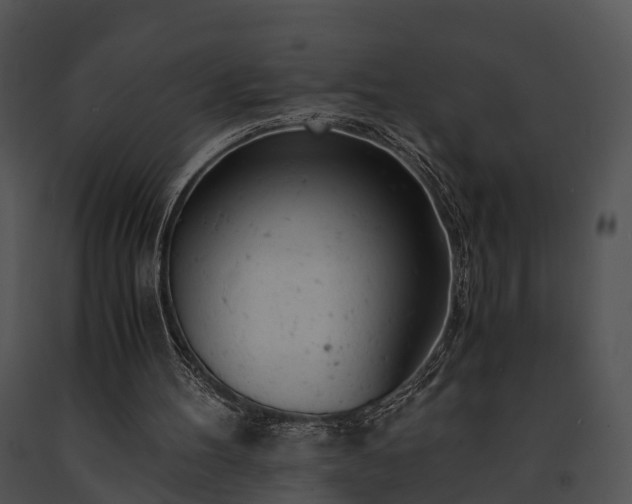 X0000091660100200708301447