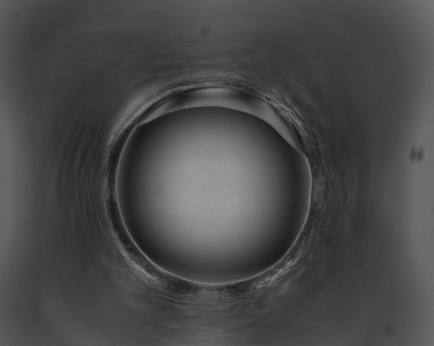 X0000091660101200708301447