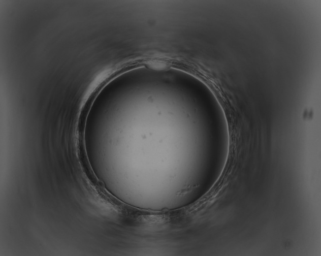 X0000091660102200708301447