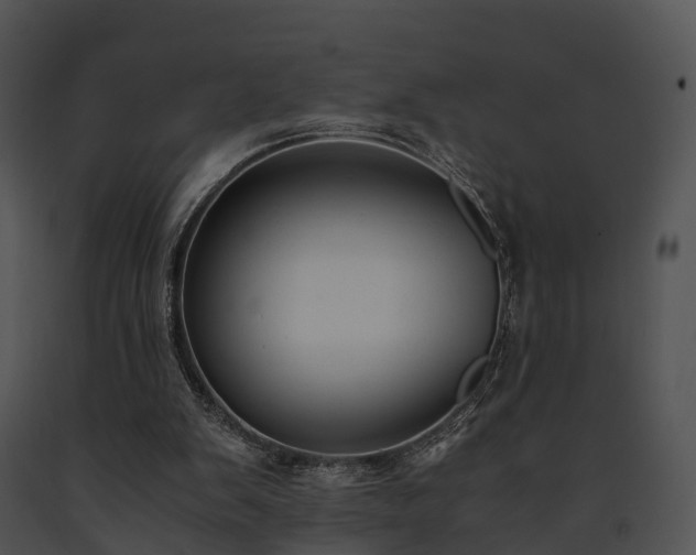 X0000091660103200708301447