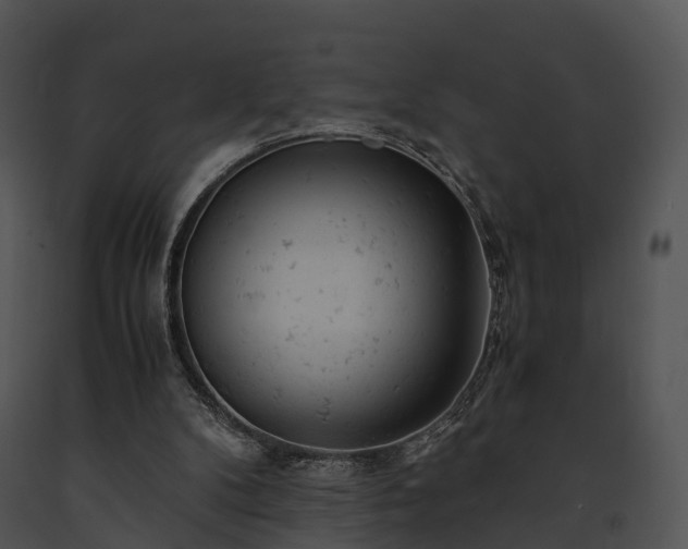 X0000091660104200708301447