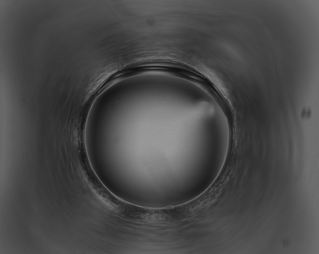 X0000091660105200708301447