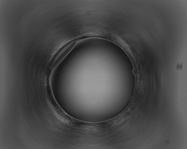 X0000091660106200708301447