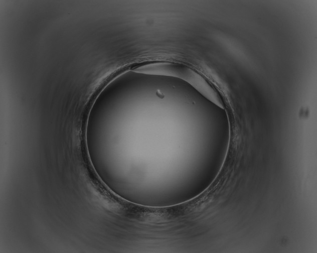 X0000091660107200708301447