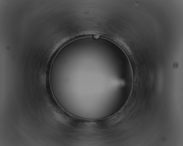 X0000091660108200708301447