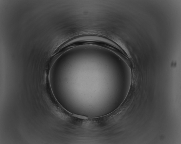 X0000091660109200708301447