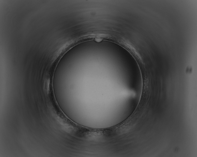 X0000091660110200708301447