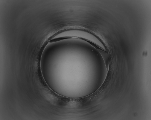 X0000091660111200708301447