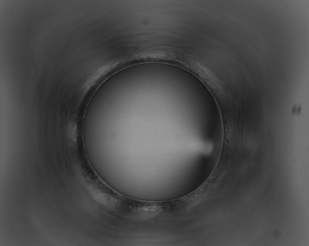 X0000091660112200708301447