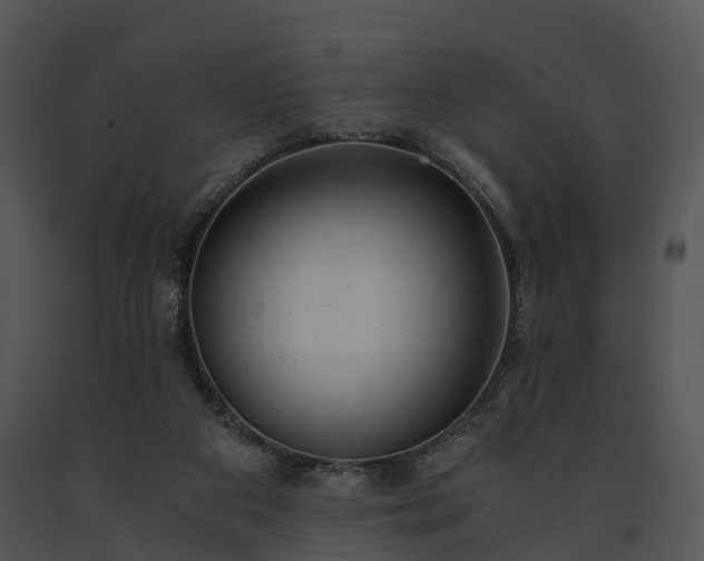 X0000091660113200708301447