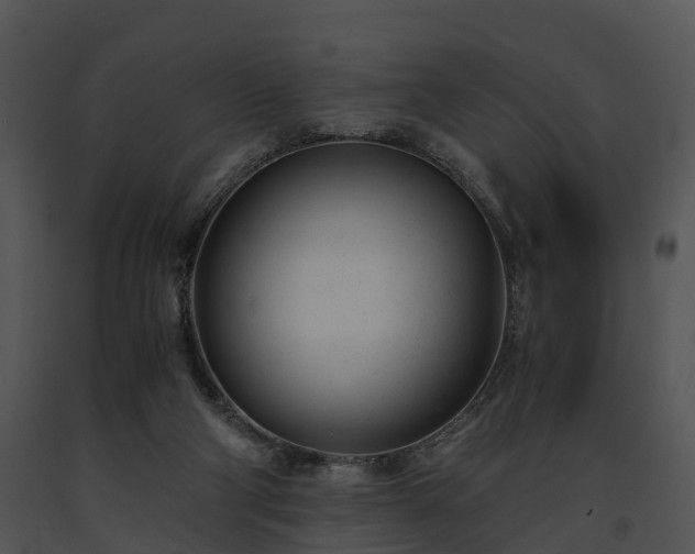 X0000091660114200708301446