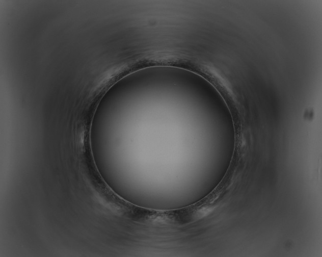 X0000091660115200708301446