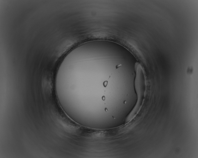 X0000091660116200708301446