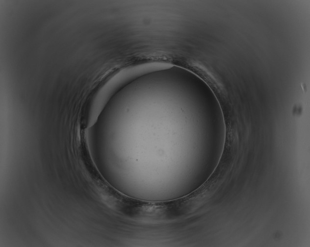 X0000091660117200708301446