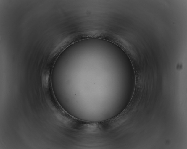 X0000091660118200708301446