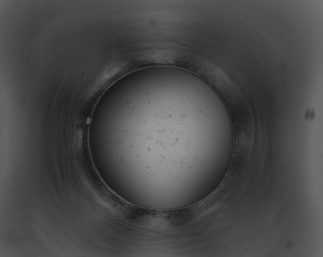 X0000091660120200708301446