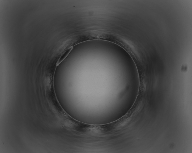 X0000091660121200708301446