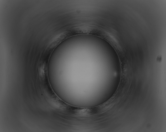 X0000091660122200708301446