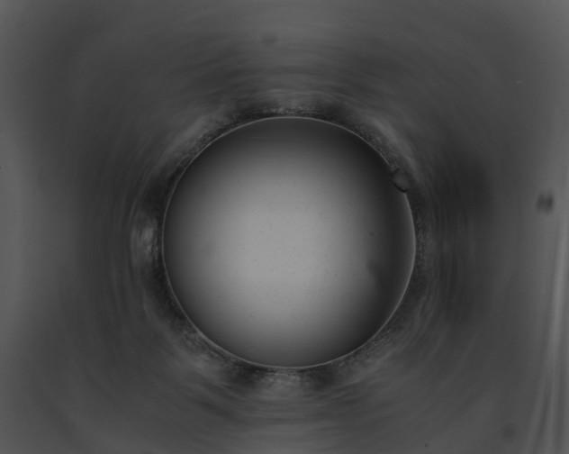 X0000091660123200708301446