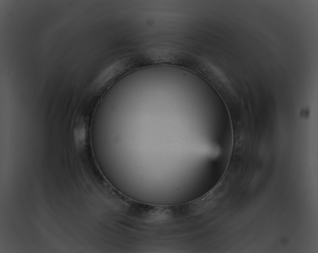 X0000091660124200708301446