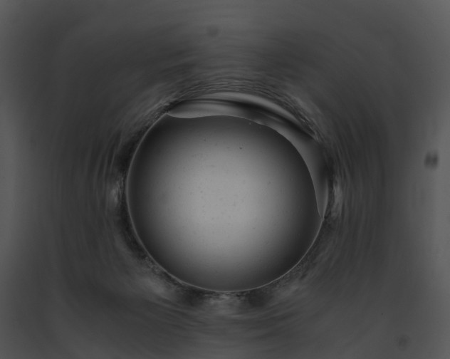 X0000091660125200708301446