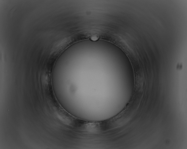 X0000091660126200708301446