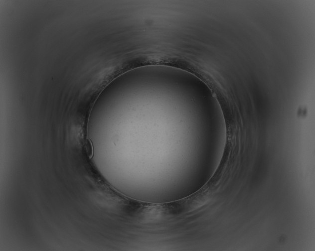 X0000091660127200708301446