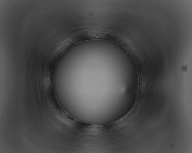 X0000091660128200708301446