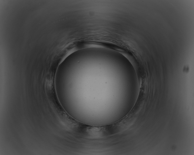 X0000091660129200708301446