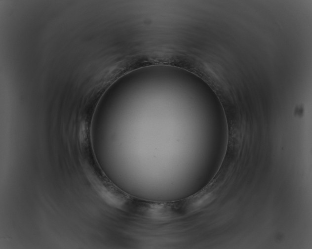 X0000091660130200708301446