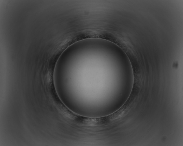 X0000091660131200708301446