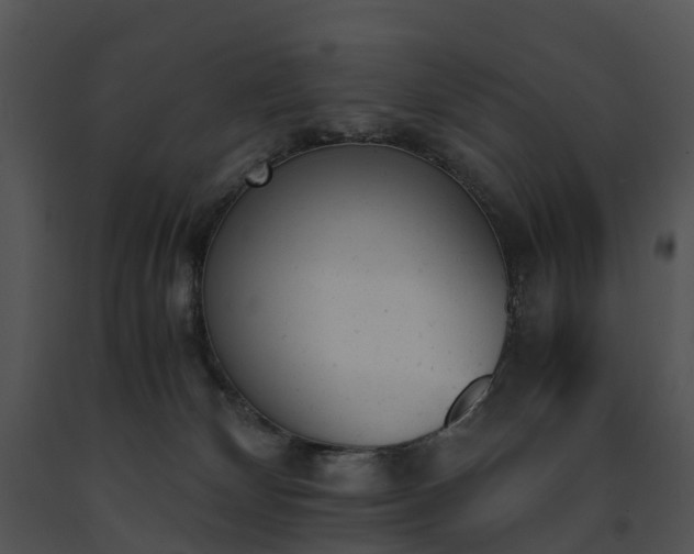 X0000091660132200708301446