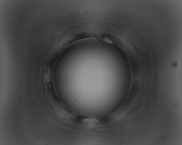 X0000091660133200708301446