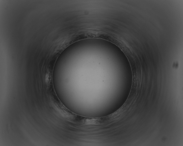 X0000091660134200708301446