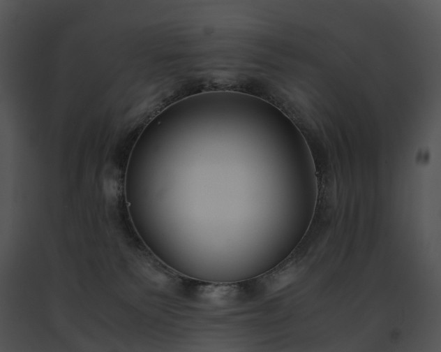 X0000091660135200708301446