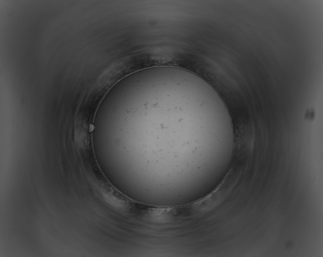 X0000091660136200708301446