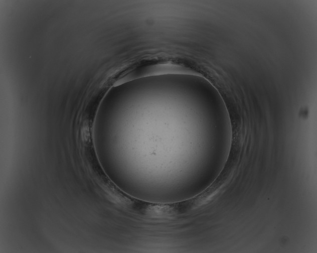 X0000091660137200708301446