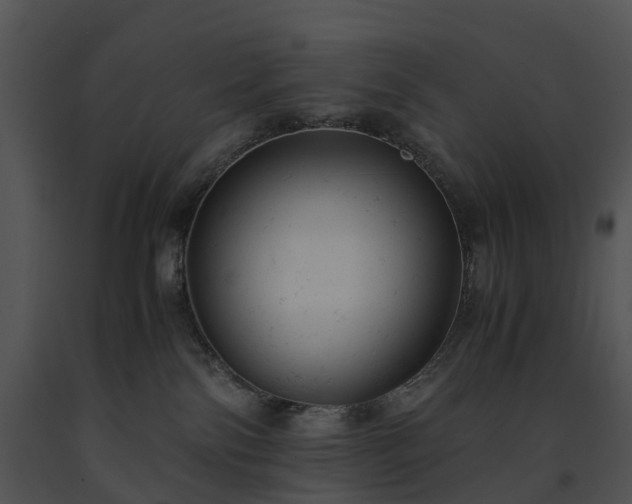 X0000091660138200708301446