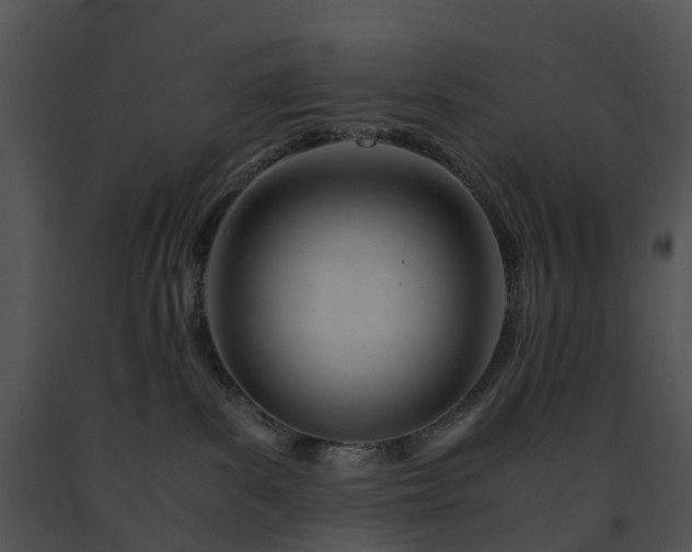 X0000091660139200708301446