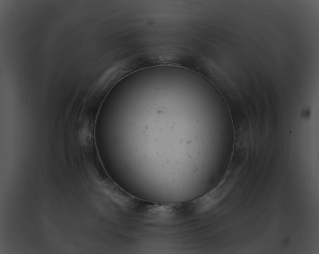 X0000091660140200708301446