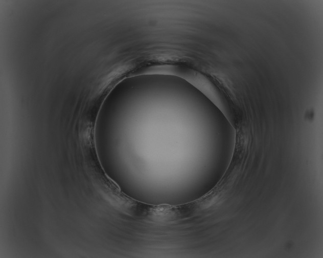 X0000091660141200708301446