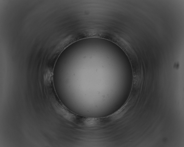 X0000091660142200708301446