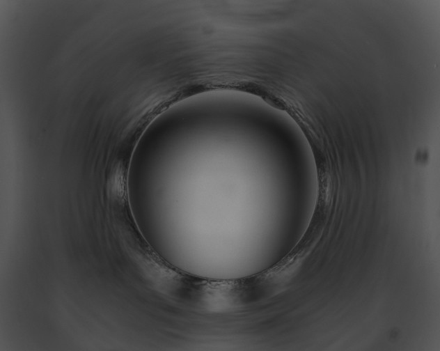 X0000091660143200708301446