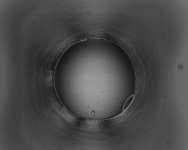 X0000091660144200708301446