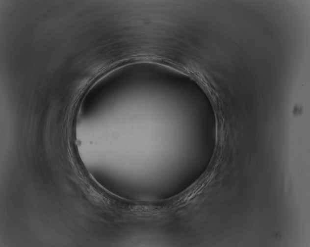 X0000091660145200708301445